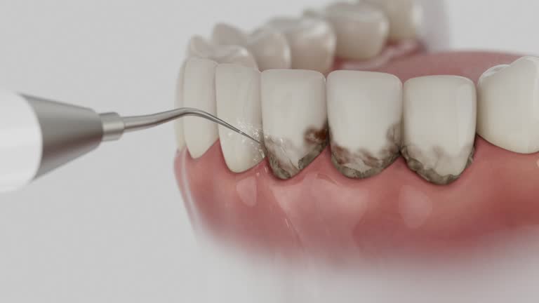 Reliable Dental contractor in Knik-Fairview, AK by Dentist Open Now